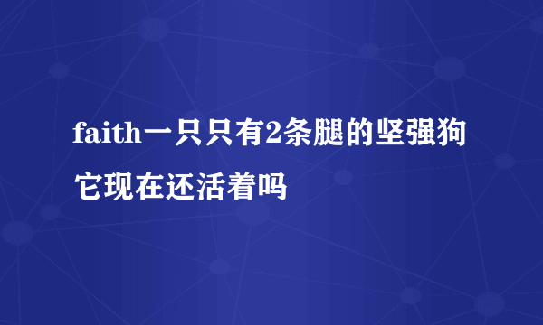 faith一只只有2条腿的坚强狗 它现在还活着吗