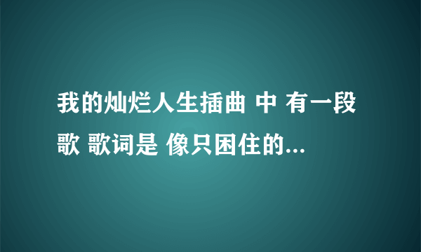 我的灿烂人生插曲 中 有一段歌 歌词是 像只困住的野兽 是 什么歌