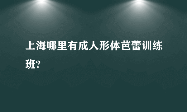 上海哪里有成人形体芭蕾训练班?