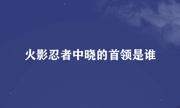 火影忍者中晓的首领是谁