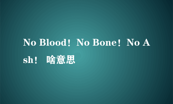 No Blood！No Bone！No Ash！ 啥意思