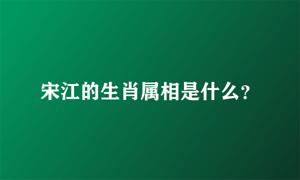 宋江的生肖属相是什么？