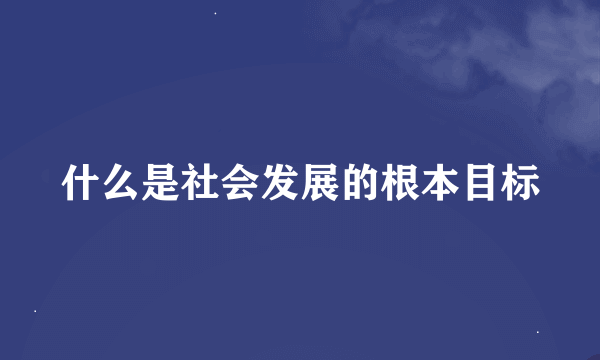 什么是社会发展的根本目标