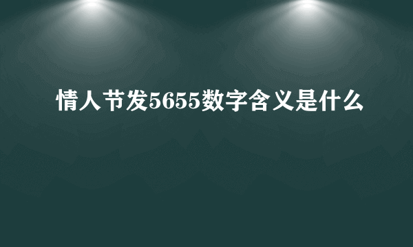 情人节发5655数字含义是什么