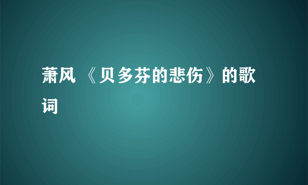 萧风 《贝多芬的悲伤》的歌词