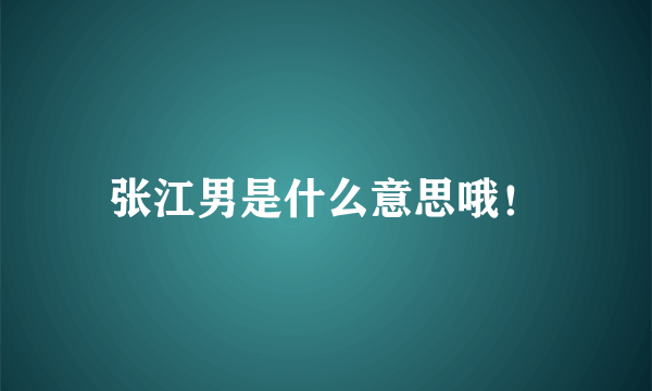 张江男是什么意思哦！