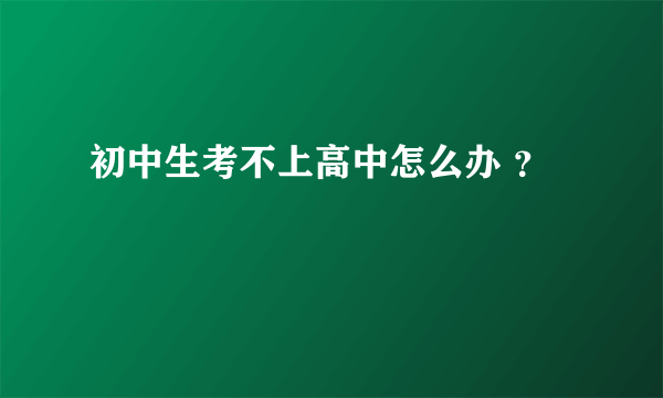 初中生考不上高中怎么办 ？