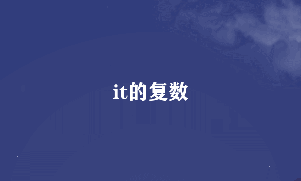 it的复数