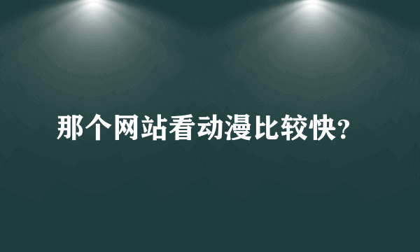 那个网站看动漫比较快？