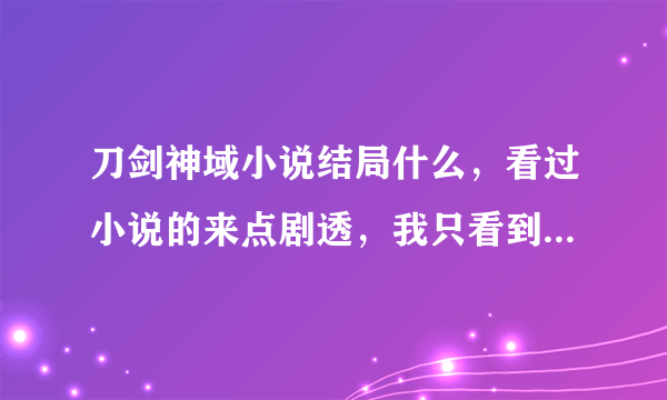 刀剑神域小说结局什么，看过小说的来点剧透，我只看到圣母什么那。。