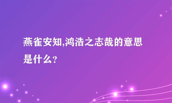 燕雀安知,鸿浩之志哉的意思是什么？