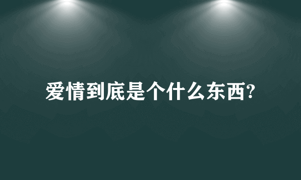 爱情到底是个什么东西?