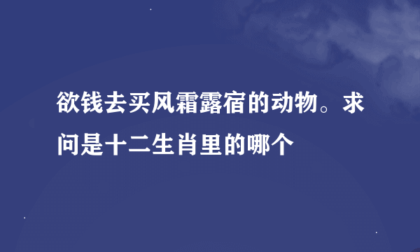 欲钱去买风霜露宿的动物。求问是十二生肖里的哪个