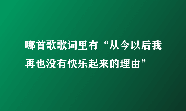 哪首歌歌词里有“从今以后我再也没有快乐起来的理由”