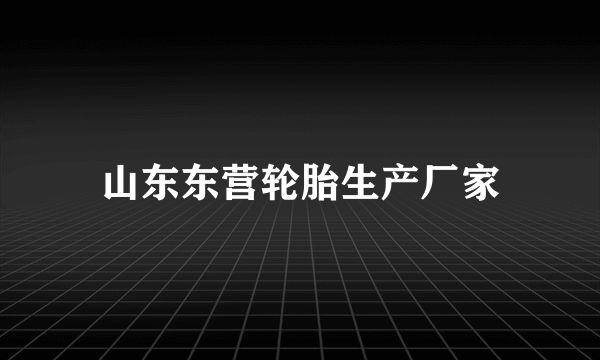 山东东营轮胎生产厂家