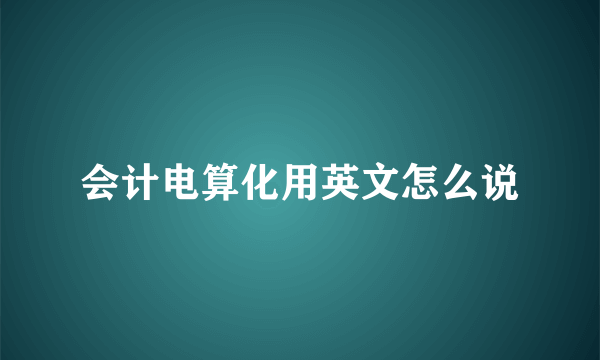 会计电算化用英文怎么说