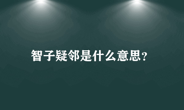 智子疑邻是什么意思？