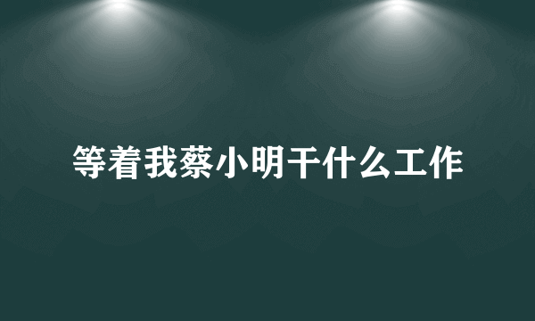 等着我蔡小明干什么工作