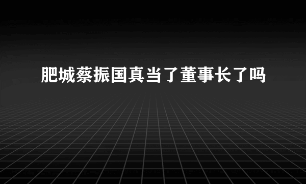 肥城蔡振国真当了董事长了吗