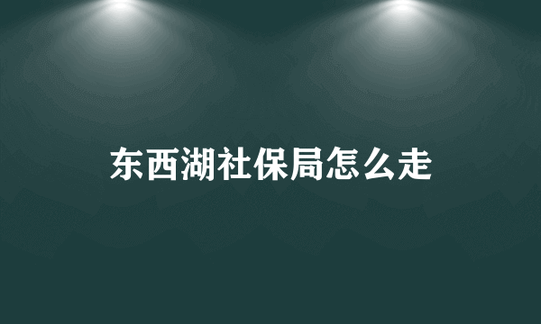 东西湖社保局怎么走