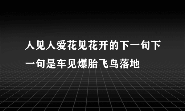 人见人爱花见花开的下一句下一句是车见爆胎飞鸟落地