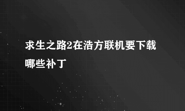 求生之路2在浩方联机要下载哪些补丁