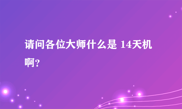 请问各位大师什么是 14天机 啊？