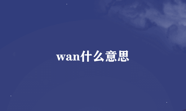 wan什么意思