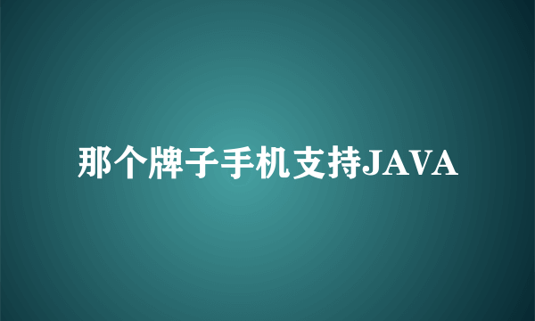 那个牌子手机支持JAVA