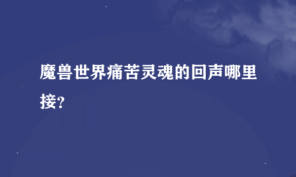 魔兽世界痛苦灵魂的回声哪里接？