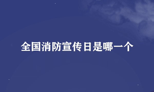 全国消防宣传日是哪一个