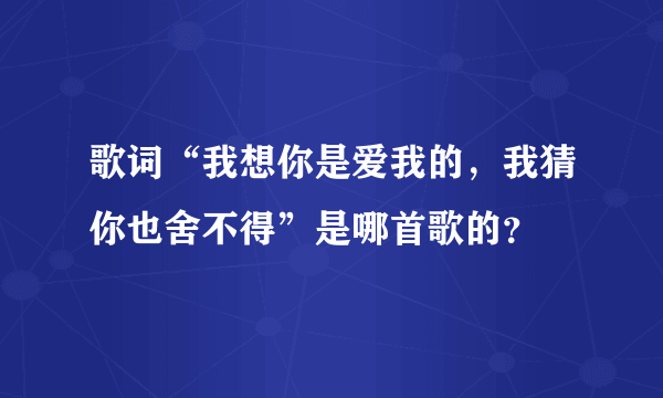 歌词“我想你是爱我的，我猜你也舍不得”是哪首歌的？