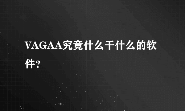 VAGAA究竟什么干什么的软件？