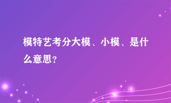 模特艺考分大模、小模、是什么意思？