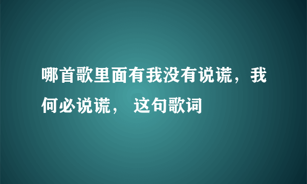 哪首歌里面有我没有说谎，我何必说谎， 这句歌词