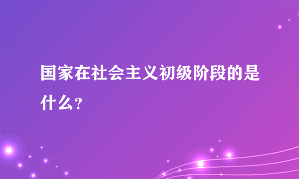 国家在社会主义初级阶段的是什么？