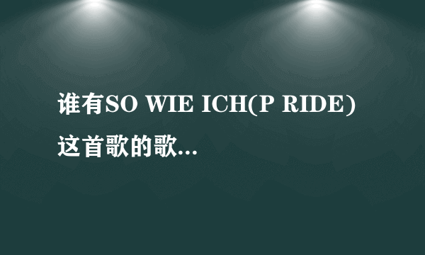 谁有SO WIE ICH(P RIDE)这首歌的歌词?谢谢！