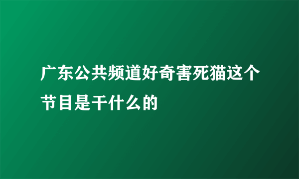 广东公共频道好奇害死猫这个节目是干什么的