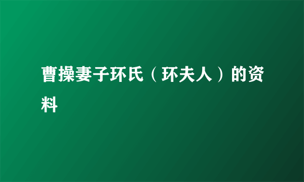 曹操妻子环氏（环夫人）的资料