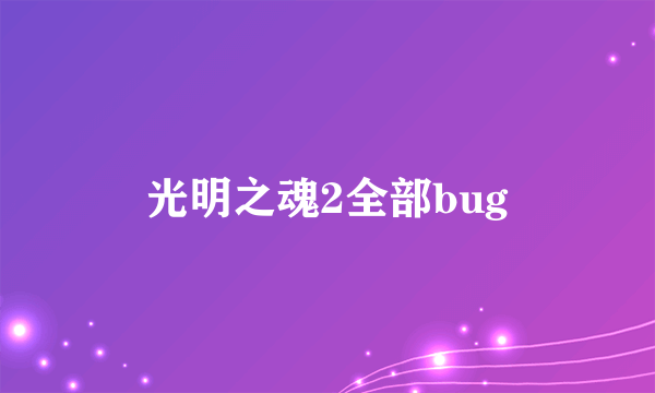 光明之魂2全部bug