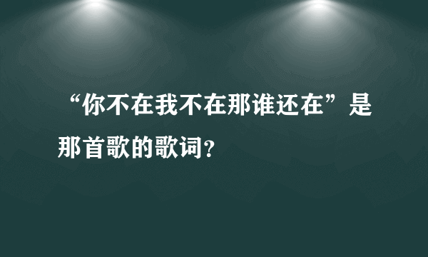 “你不在我不在那谁还在”是那首歌的歌词？