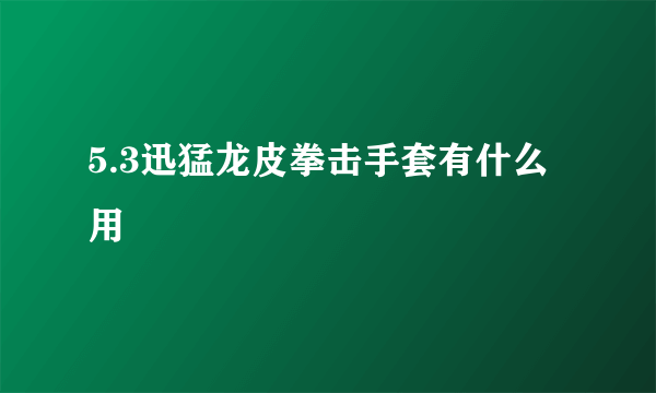 5.3迅猛龙皮拳击手套有什么用