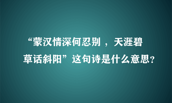 “蒙汉情深何忍别 ，天涯碧草话斜阳”这句诗是什么意思？