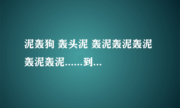 泥轰狗 轰头泥 轰泥轰泥轰泥轰泥轰泥......到底什么意思呀？