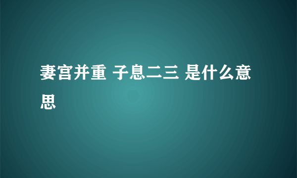 妻宫并重 子息二三 是什么意思