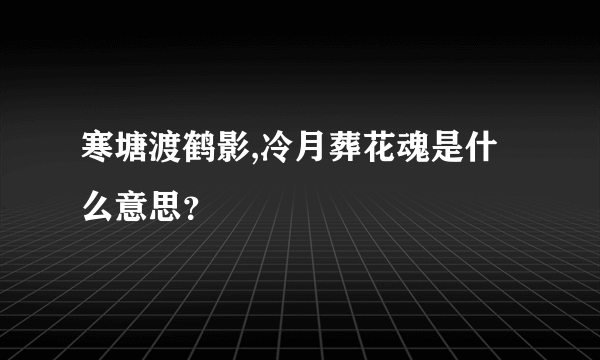 寒塘渡鹤影,冷月葬花魂是什么意思？