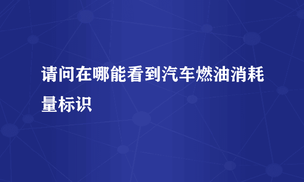 请问在哪能看到汽车燃油消耗量标识