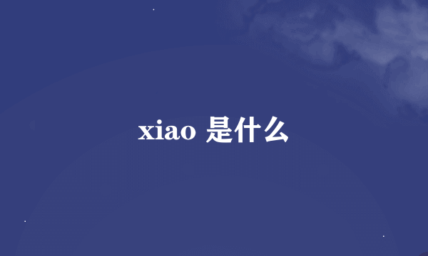 xiao 是什么