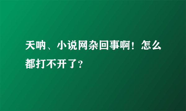 天呐、小说网杂回事啊！怎么都打不开了？