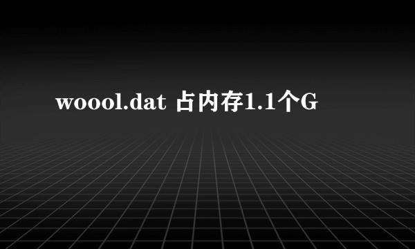 woool.dat 占内存1.1个G